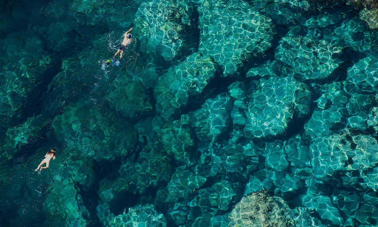 swim in the sea